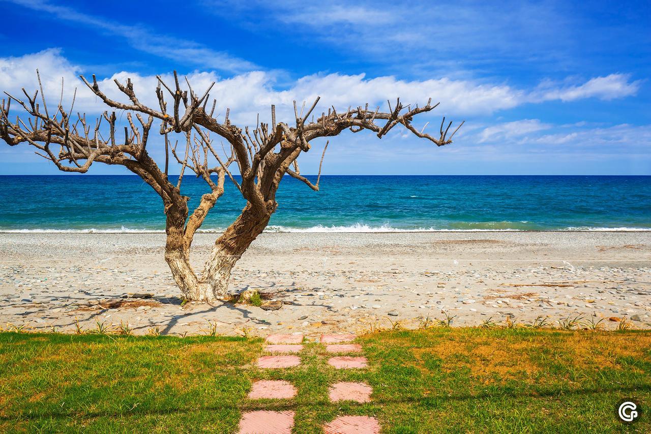 Oliva Beach Maleme المظهر الخارجي الصورة